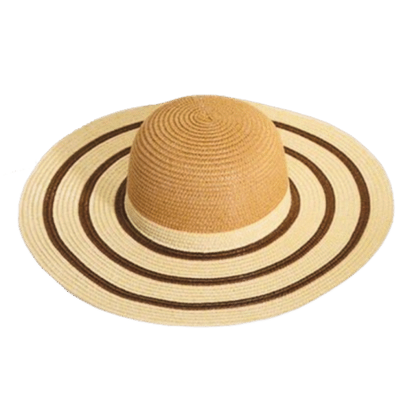 Sac en Paille et Chapeau de Soleil Stylé